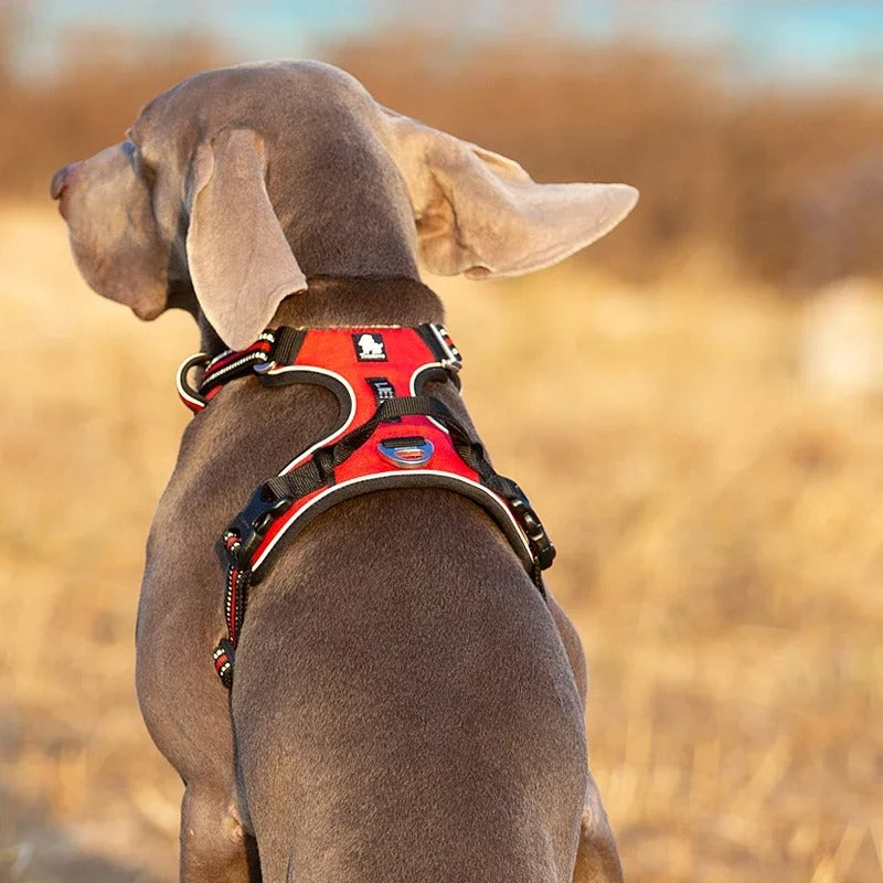 Truelove Reflective Dog Harness – No Pull, Fully Adjustable