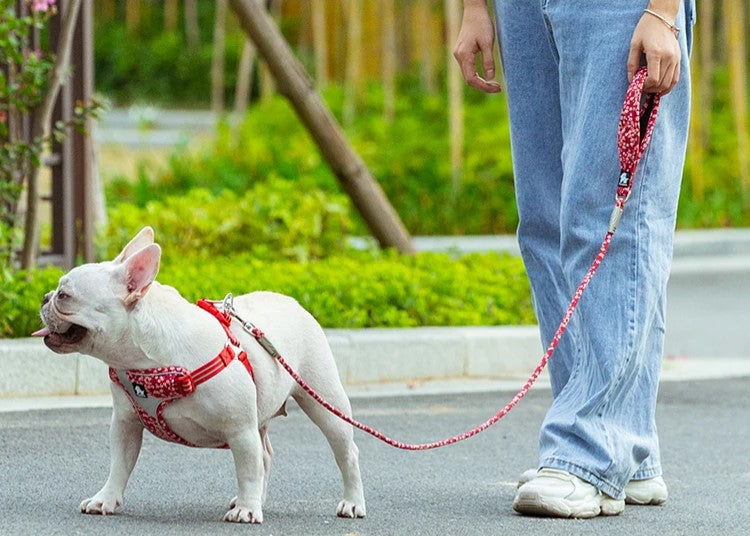Truelove Floral Rope Leash