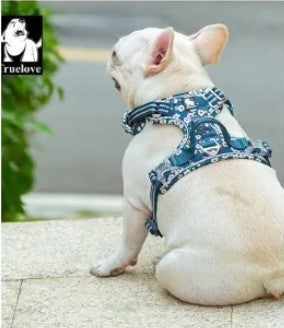 Truelove Reflective Dog Harness Floral Range – No Pull, Fully Adjustable