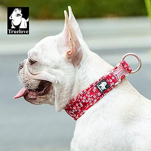 Truelove Floral Dog Collar