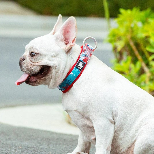 Truelove Floral Dog Collar