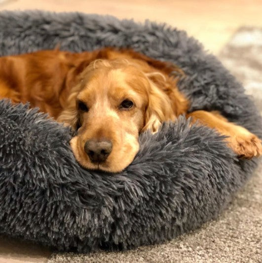 Round Plush Dog Bed