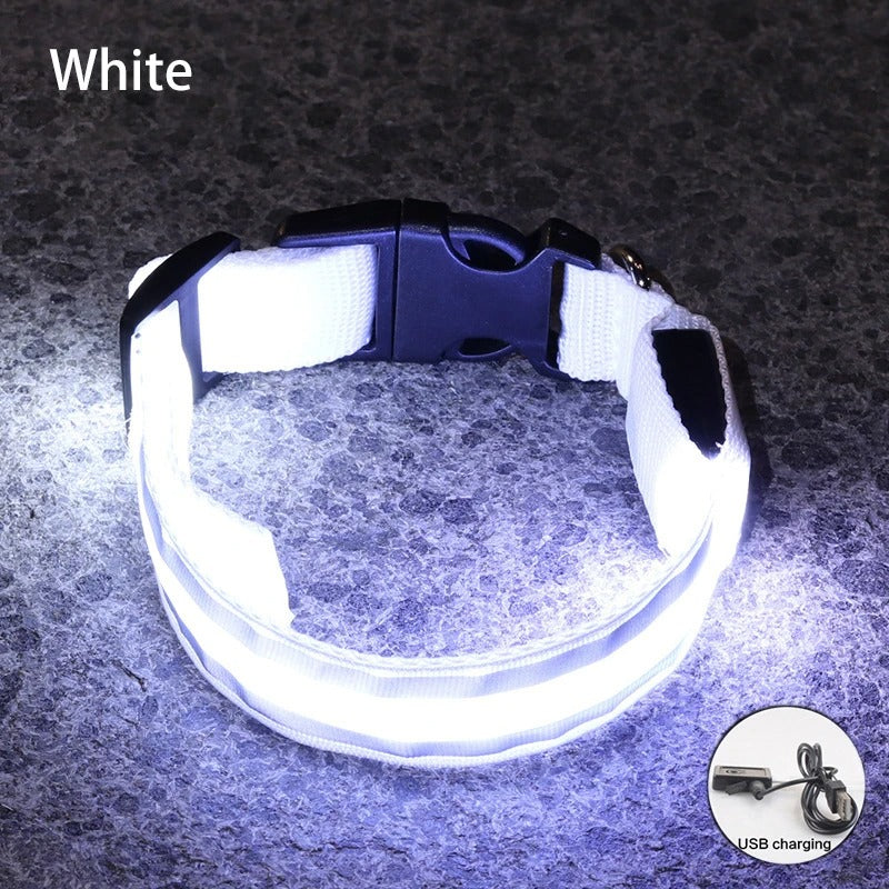 Rechargeable LED Night-Safe Collar