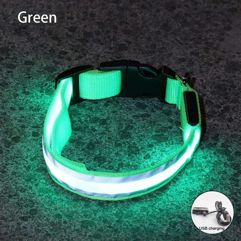 Rechargeable LED Night-Safe Collar