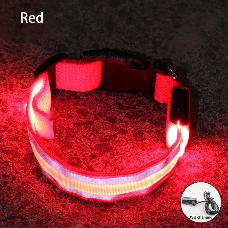 Rechargeable LED Night-Safe Collar