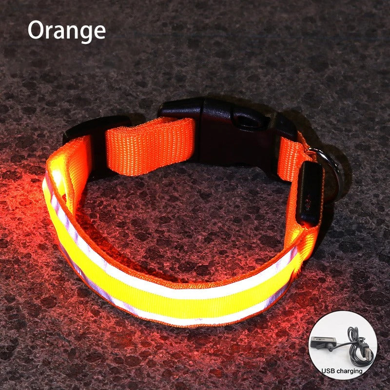 Rechargeable LED Night-Safe Collar