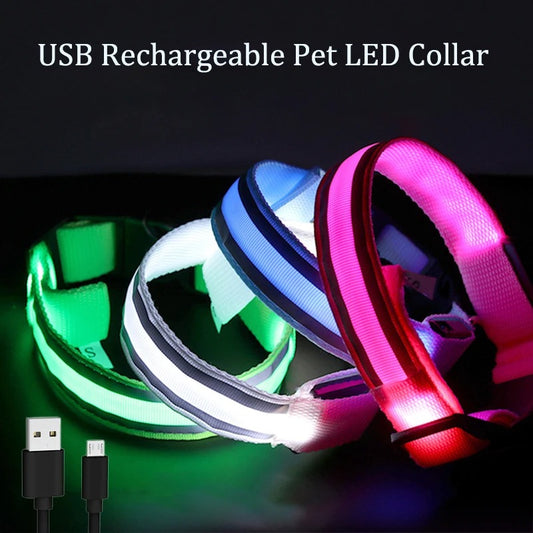 Rechargeable LED Night-Safe Collar