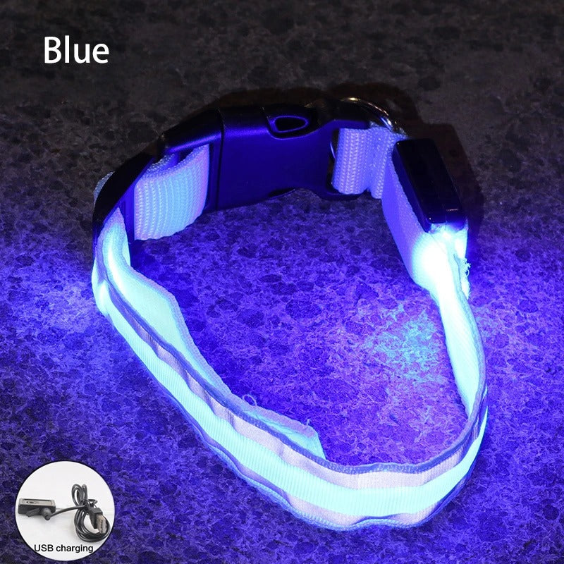 Rechargeable LED Night-Safe Collar