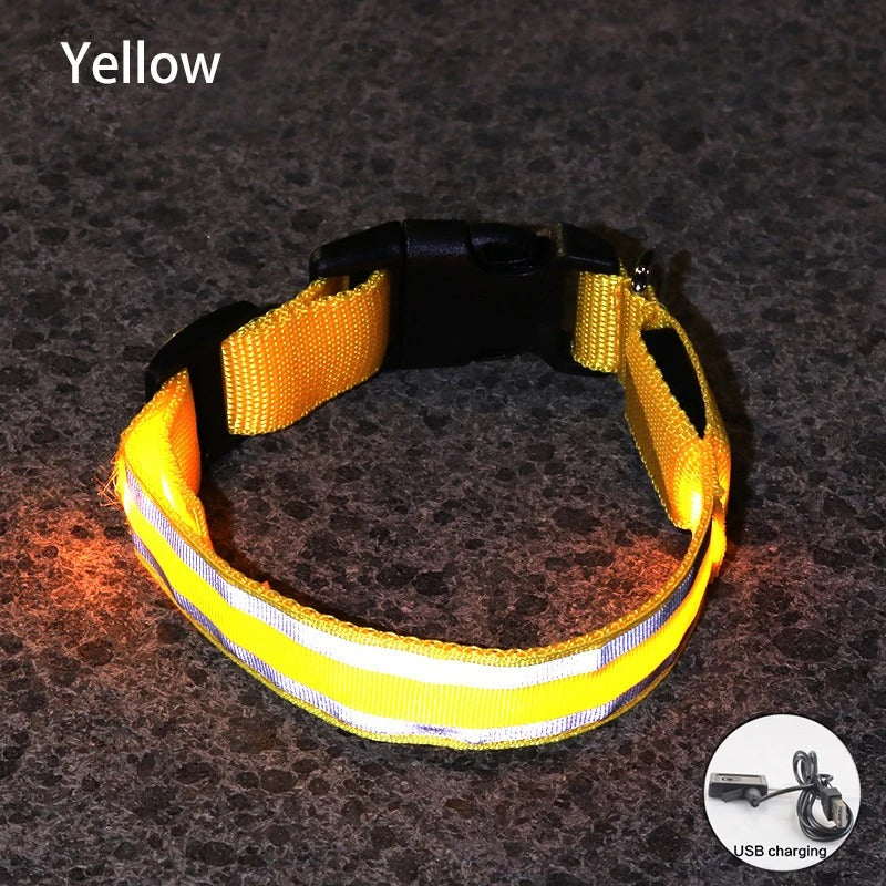 Rechargeable LED Night-Safe Collar