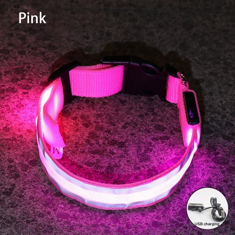 Rechargeable LED Night-Safe Collar