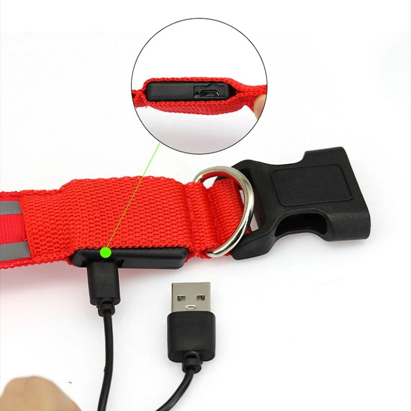 Rechargeable LED Night-Safe Collar