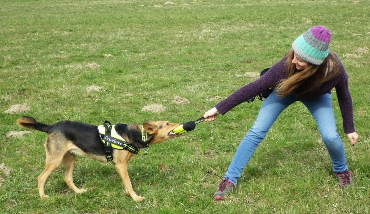 Truelove Treat Trainer / Interactive Treat Training Pouch