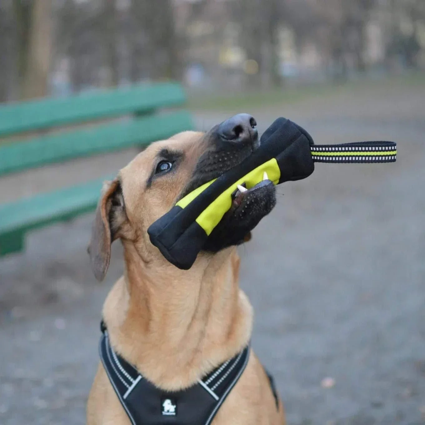 Truelove Treat Trainer / Interactive Treat Training Pouch