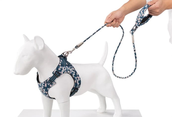 Truelove Reflective Dog Harness Floral Range – No Pull, Fully Adjustable